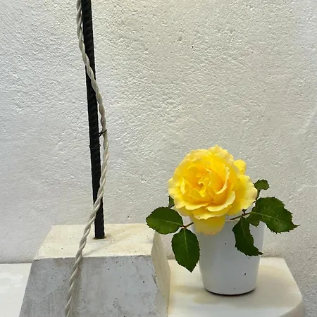 Host In Italy - Casina Gargiulo Appartement *